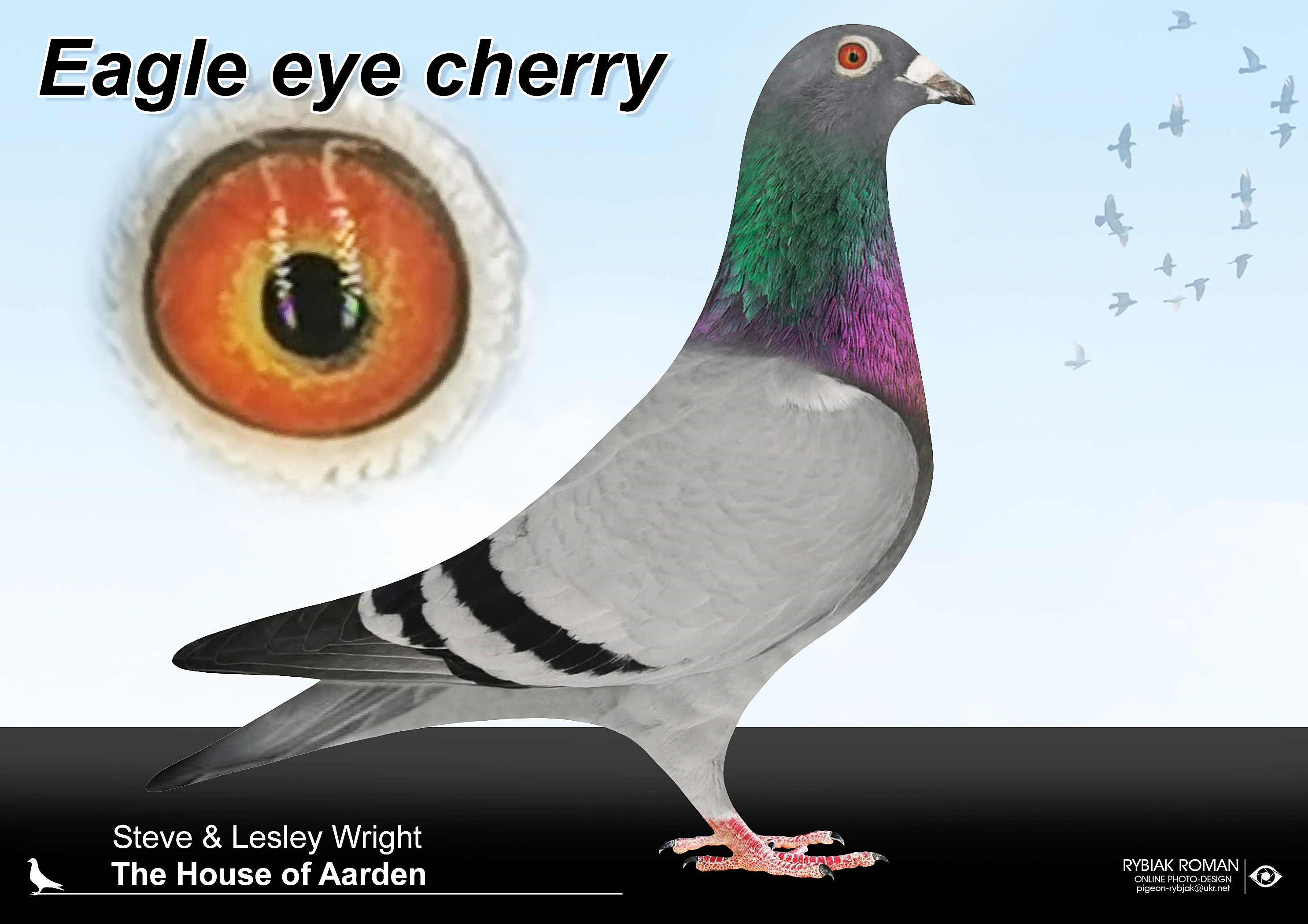 save tonight eagle eye cherry torrent